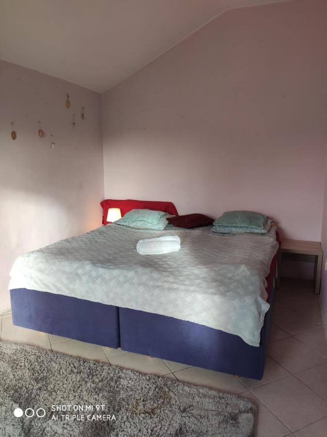 Popularna Guest Home 바르샤바 외부 사진